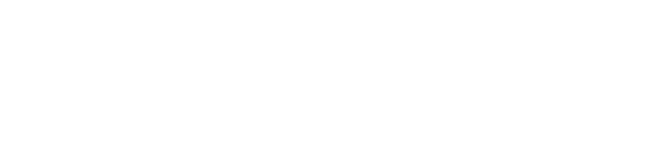 logo footer aura